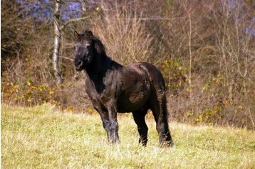 Słowacja Chata Veľké Rovné, Zewnątrz